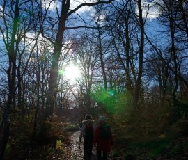 DSC_2736_DxO